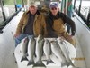 (11/14/2016) - Nice Striped Bass